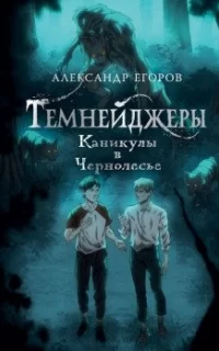 Темнейджеры. Каникулы в Чернолесье - Александр Егоров