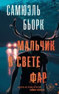 Холгер Мунк и Миа Крюгер 3. Мальчик в свете фар- Самюэль Бьорк