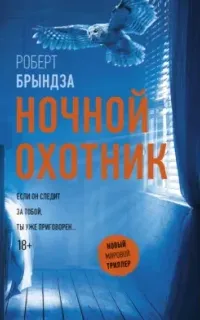 Детектив Эрика Фостер 2. Ночной Охотник- Роберт Брындза